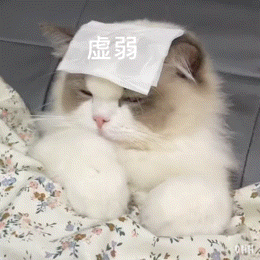 猫猫被窝露头,委屈撒娇:人家好娇弱啊 ๑人家好娇弱啊~可爱鬼专用聊天表情包表情包图片gif动图 - 求表情网,斗图从此不求人!