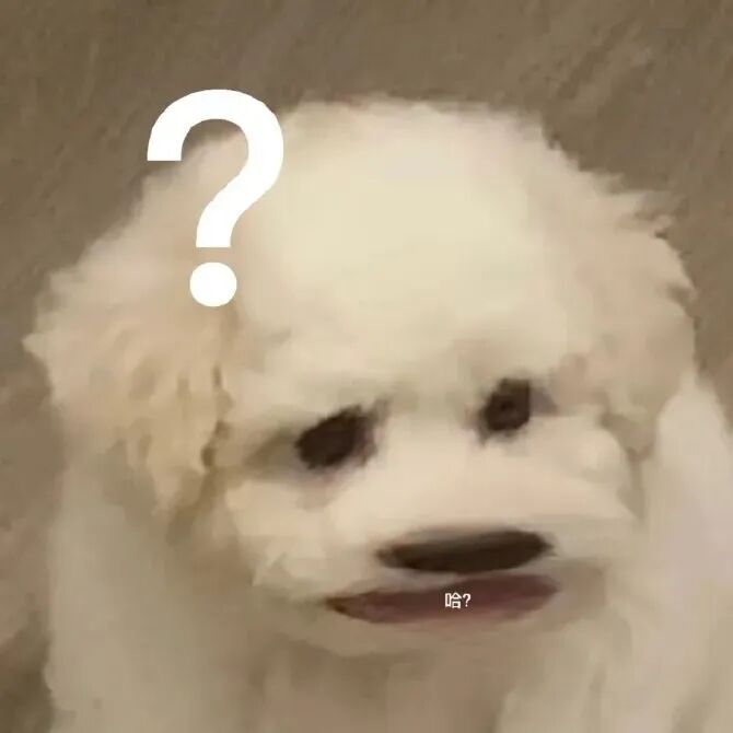 小白狗带问号+“哈？”，一脸疑惑超呆萌 表情包｜今天他妈有点小帅Meme GIF - MemeVerse, Never Lose a Meme ...