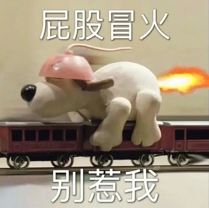 戴头盔小狗坐火车屁股冒火 警告别惹我 沙雕表情包表情包图片gif动图 - 求表情网,斗图从此不求人!