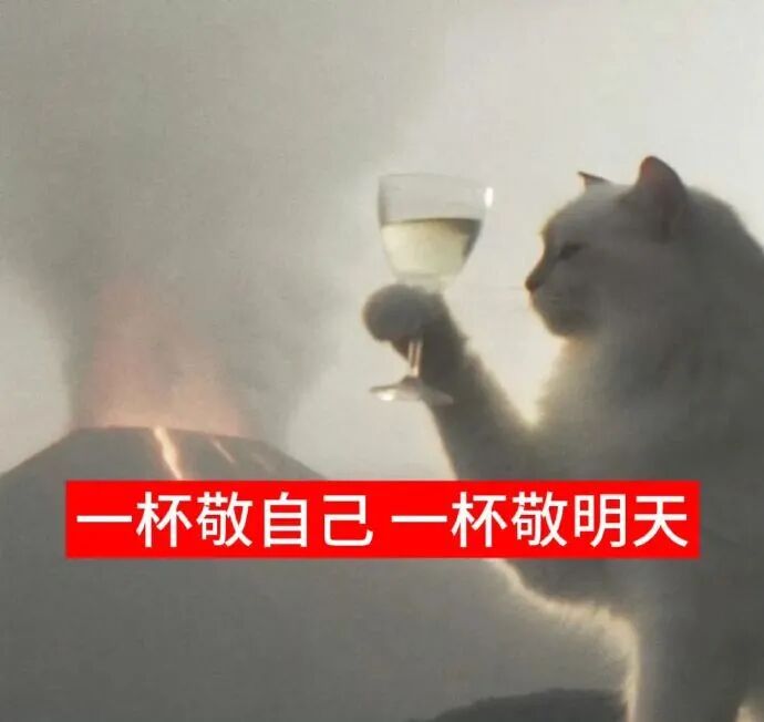 举杯敬老资历 马形象诙谐敬酒 表情包：我的妈呀大姐。。表情包图片gif动图 - 求表情网,斗图从此不求人!