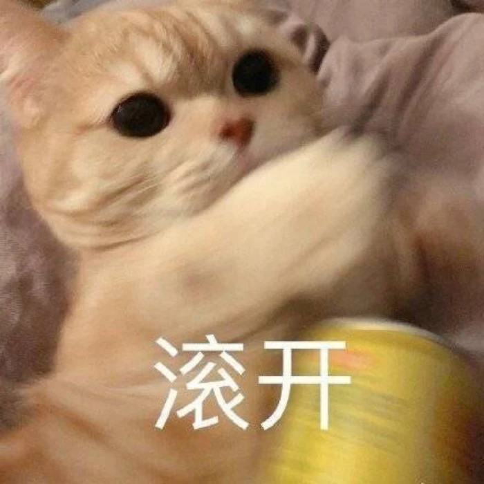 橘猫无辜脸挥爪推开，配“滚开”傲娇表嫌弃 表情包｜春天来了 我回来了表情包图片gif动图 - 求表情网,斗图从此不求人!