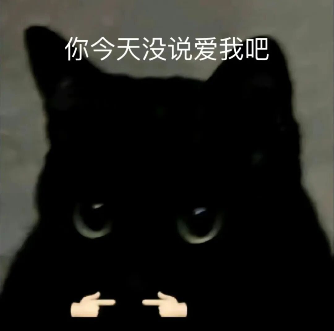 黑猫委屈凝视,文字“你今天没说爱我吧”配指戳手势 超想抱走的表情包Meme GIF - MemeVerse, Never Lose a ...