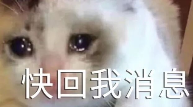 委屈泪眼小猫催你快回消息 表情包|我没办法治好每个啥bMeme GIF - MemeVerse, Never Lose a Meme ...