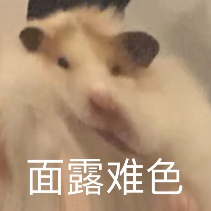 仓鼠面露难色 为难纠结表情包 仓鼠小表情包大合集:鼠鼠我呀表情包图片gif动图 - 求表情网,斗图从此不求人!