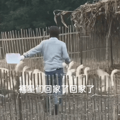快手摄像机图标配“回家吧”，呼唤回归的表情包 #杨付诚图片动图gif动态表情包合集（106张）表情包图片gif动图 - 求表情网,斗图从此不求人!
