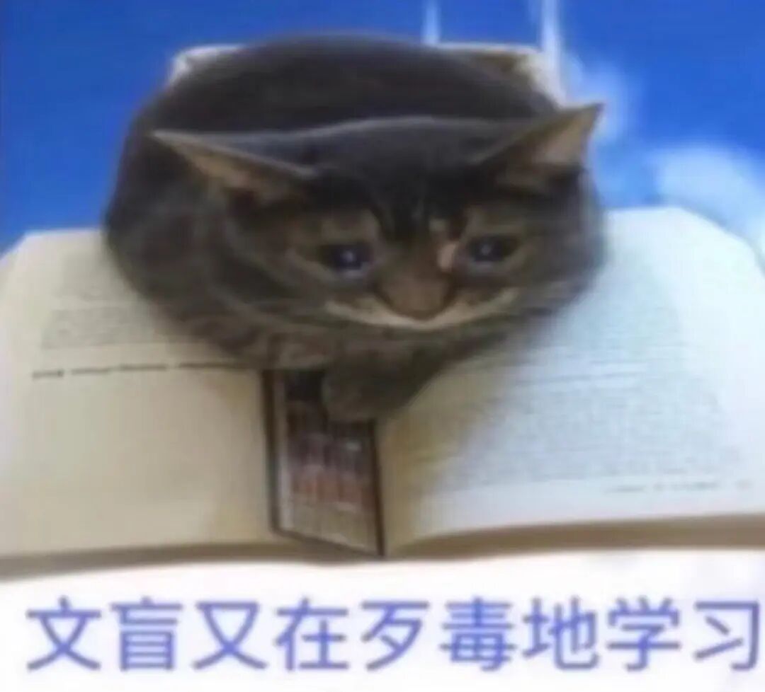猫趴书上,自嘲“文盲歹毒学习”尽显学习无奈 表情包|很Fine 谢谢 表情包图片gif动图 - 求表情网,斗图从此不求人!