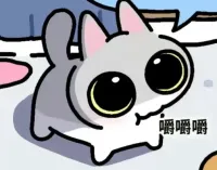 呆猫八条小猫八条图片动图gif动态表情包合集(61张) 相关表情包,表情包专辑 - 求表情网,斗图从此不求人!