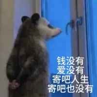 负鼠文字图片表情包合集(42张) 相关表情包,表情包专辑 - 求表情网,斗图从此不求人!