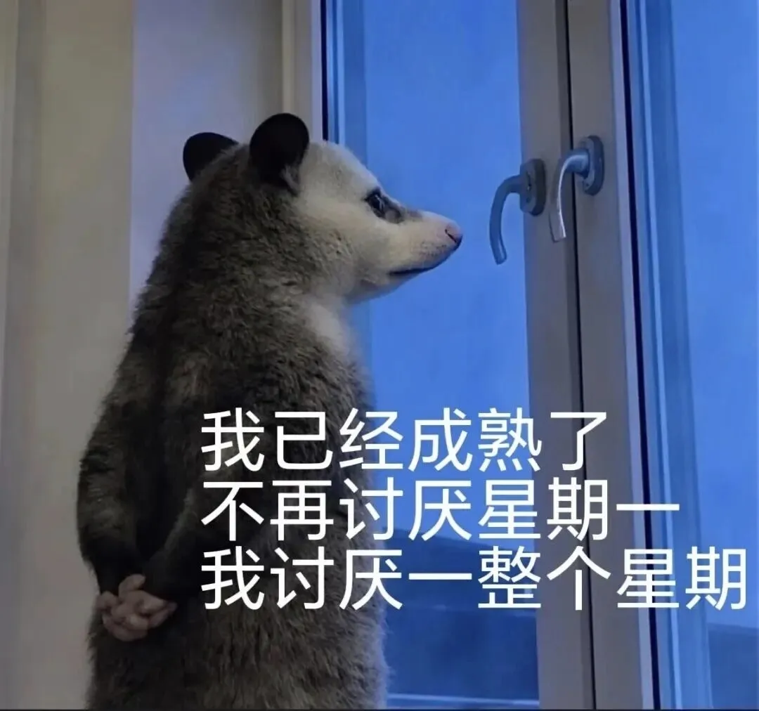 背手负鼠成熟了:不再讨厌周一 讨厌一整个星期 负鼠文字图片表情包合集(42张)表情包图片gif动图 - 求表情网,斗图从此不求人!