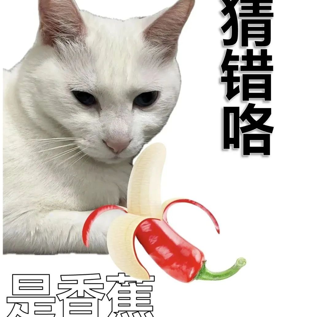 猫meme表情包猜猜是什么水果可爱猫咪误把辣椒当香蕉，表情委屈超搞笑的“猜错咯”表情包表情包图片gif动图-