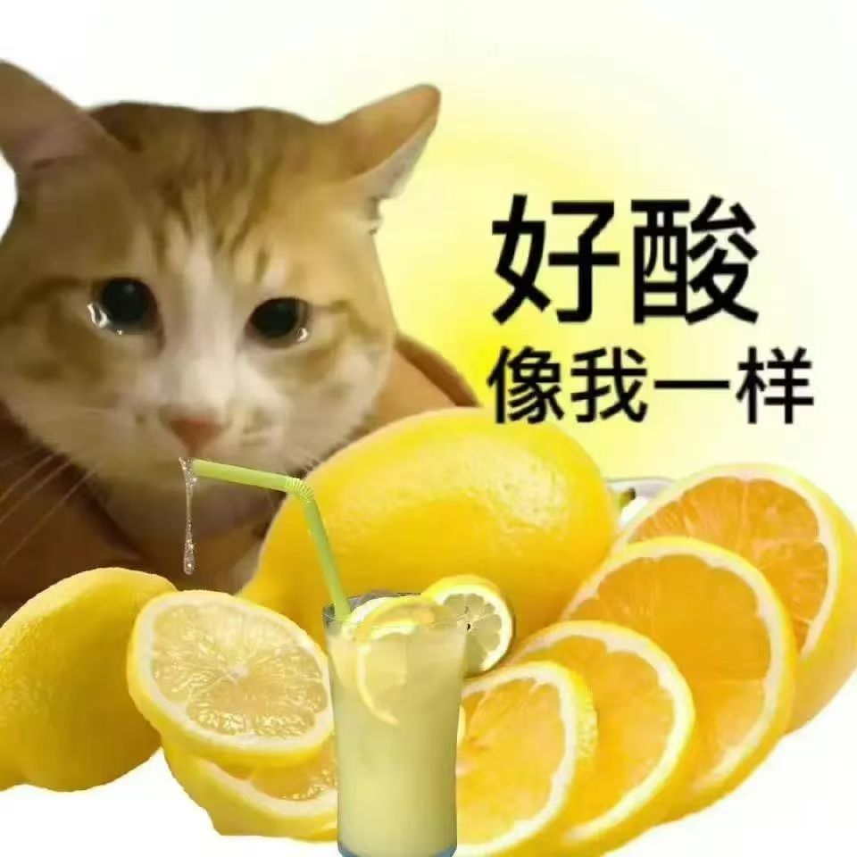 可爱搞笑猫猫表情包 猫咪表情委屈，配文“好酸 像我一样”，周围是柠檬和柠檬饮品表情包图片gif动图 - 求表情网,斗图从此不求人!