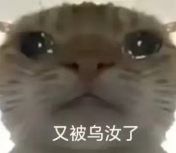 歪嘴小猫嘻嘻 不嘻嘻表情包