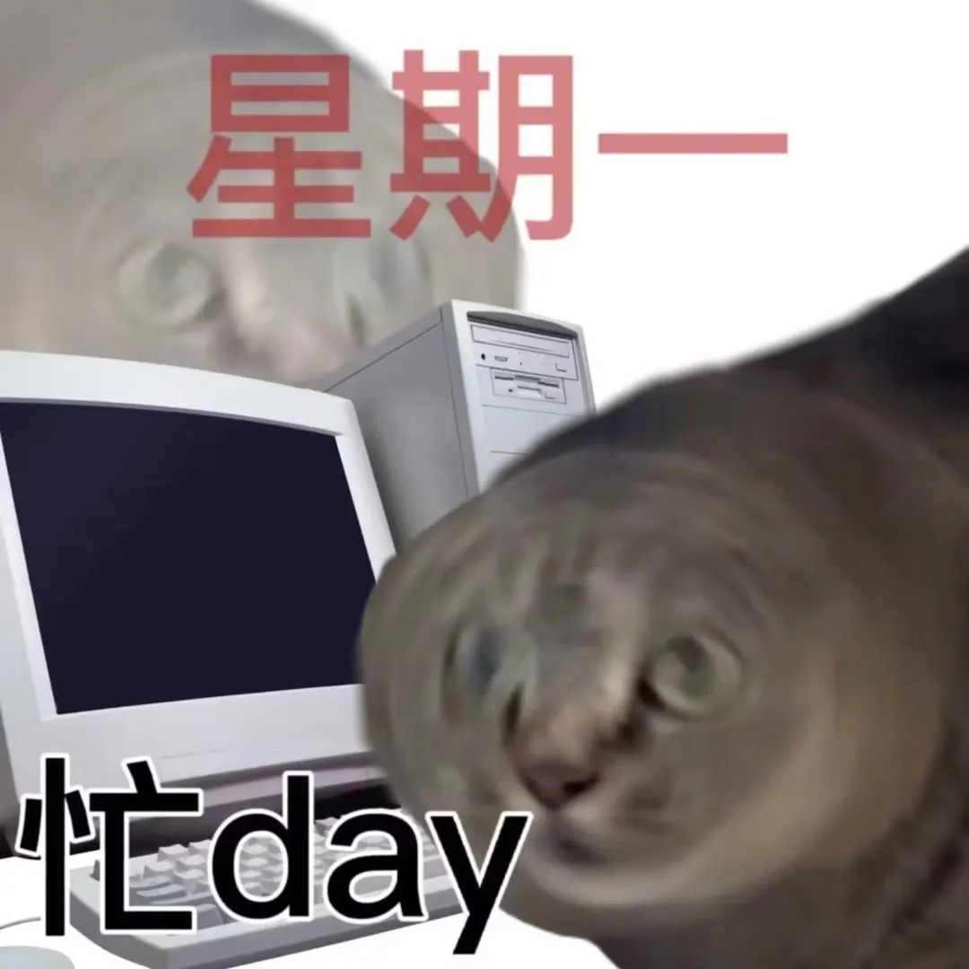 “星期一忙day”,猫咪表情尽显打工人的无奈与忙碌表情包图片gif动图 - 求表情网,斗图从此不求人!