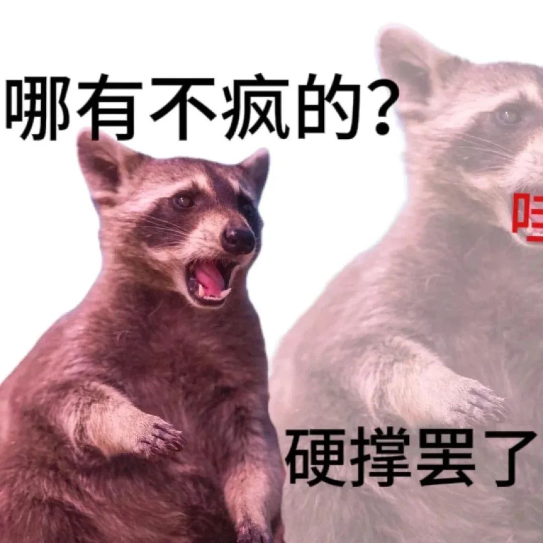 开学状态专用发疯表情包 浣熊表情抓狂配文“哪有不疯的?硬撑罢了”,尽显无奈与崩溃表情包图片gif动图 - 求表情网,斗图从此不求人!
