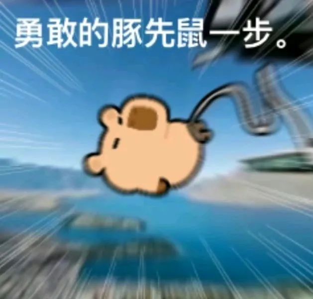勇敢勇敢我的朋友表情包gif表情包图片 - 求表情网,斗图从此不求人!