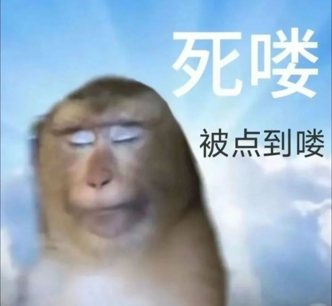 你不要点我名啊上课点名表情包 滑稽猴子表情图，配文“死喽 被点到喽”，尽显无奈搞笑表情包图片gif动图 - 求表情网,斗图从此不求人!