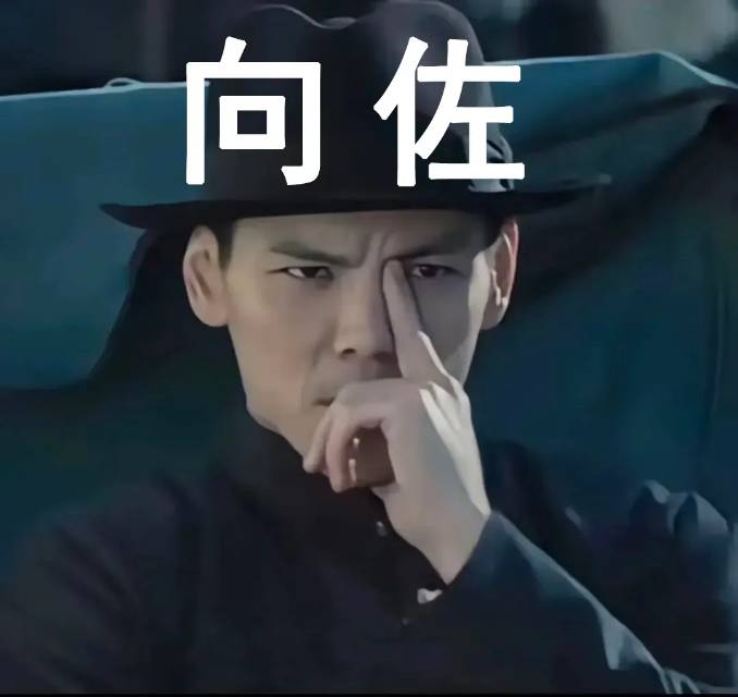 向佐戴帽单手扶额,表情严肃,尽显大佬风范表情包图片gif动图 - 求表情网,斗图从此不求人!