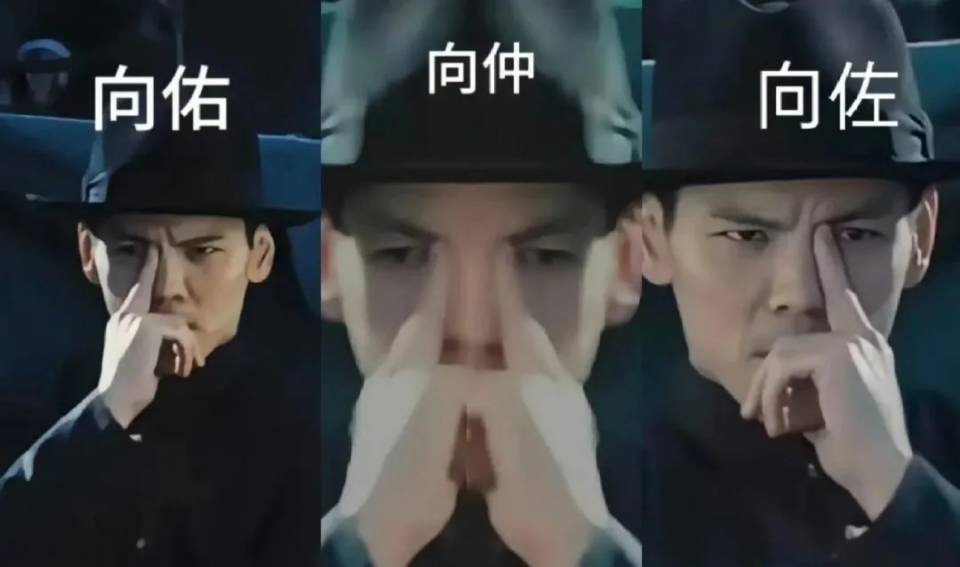 向佐向佑向仲三连表情包,搞怪动作引人发笑表情包图片gif动图 - 求表情网,斗图从此不求人!