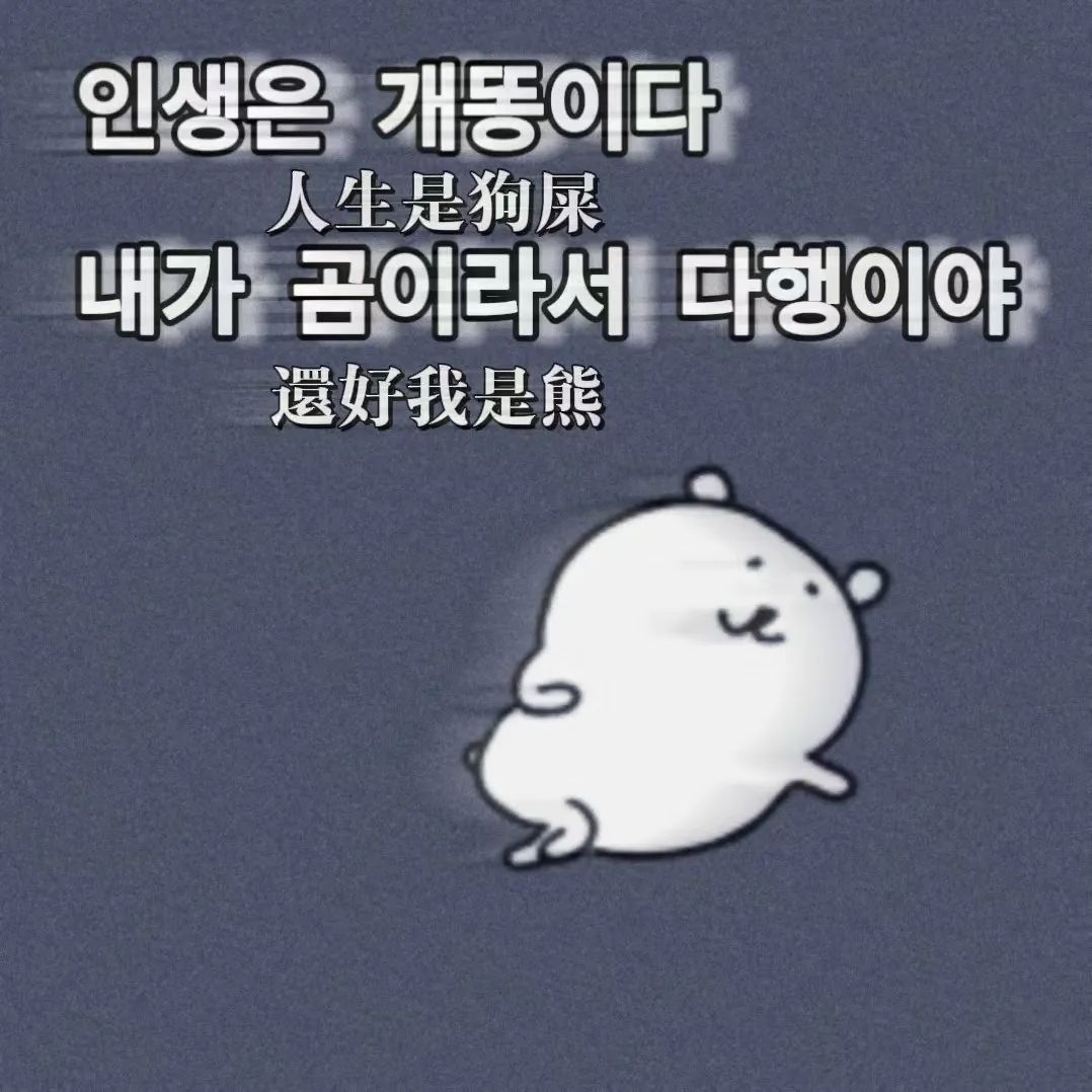 自嘲熊 梗图表情包 “人生是狗屎 还好我是熊”，可爱小熊的幽默人生态度表情包图片动图 求表情网斗图从此不求人 