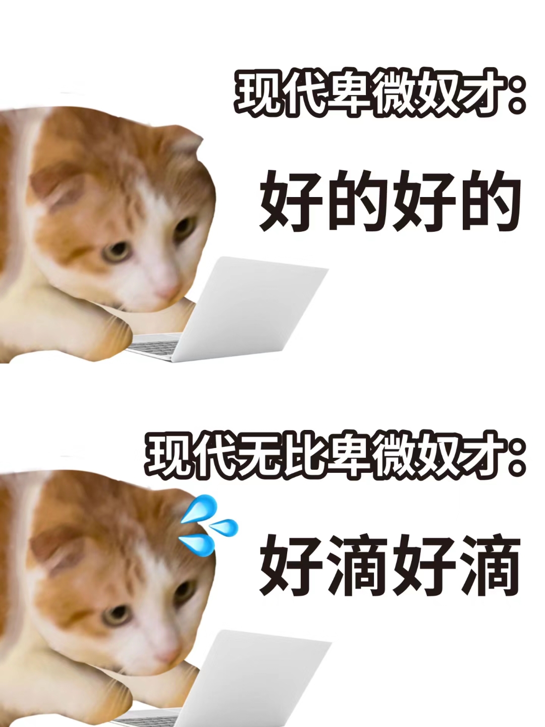 《卑微打工人的日常:从“好的好的”到“好滴好滴”的无奈转变》表情包图片gif动图 - 求表情网,斗图从此不求人!