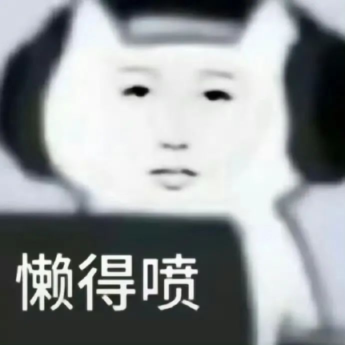 虞书欣龙图表情包 一脸淡然的表情，配上“懒得喷”文字，尽显无语与不屑表情包图片gif动图 - 求表情网,斗图从此不求人!