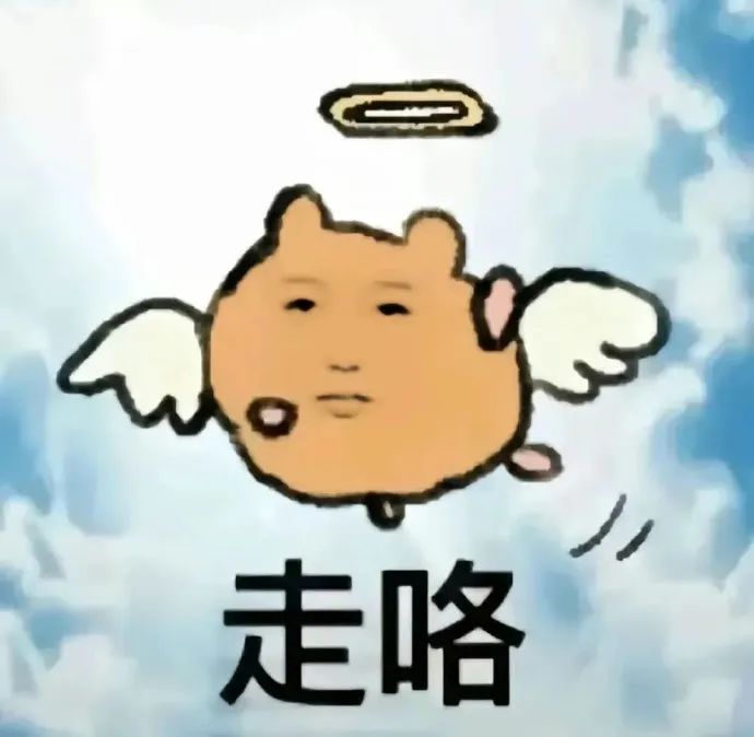 虞书欣抽象 给你剪掉哦 有技术的抽象表情包 带翅膀的卡通小猪配文“走咯”，表情呆萌可爱超有趣表情包图片gif动图 - 求表情网,斗图从此不求人!