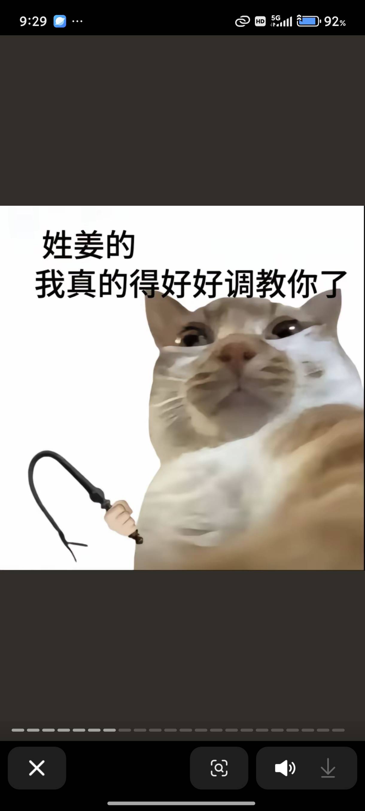 《手持鞭子的猫咪，配文“我真得好好调教你了”的搞笑表情包》 聊天必备表情包 丨 你脑袋真的没事吗 猫咪手拿鞭子，眼神犀利，配文“我真得好好调教