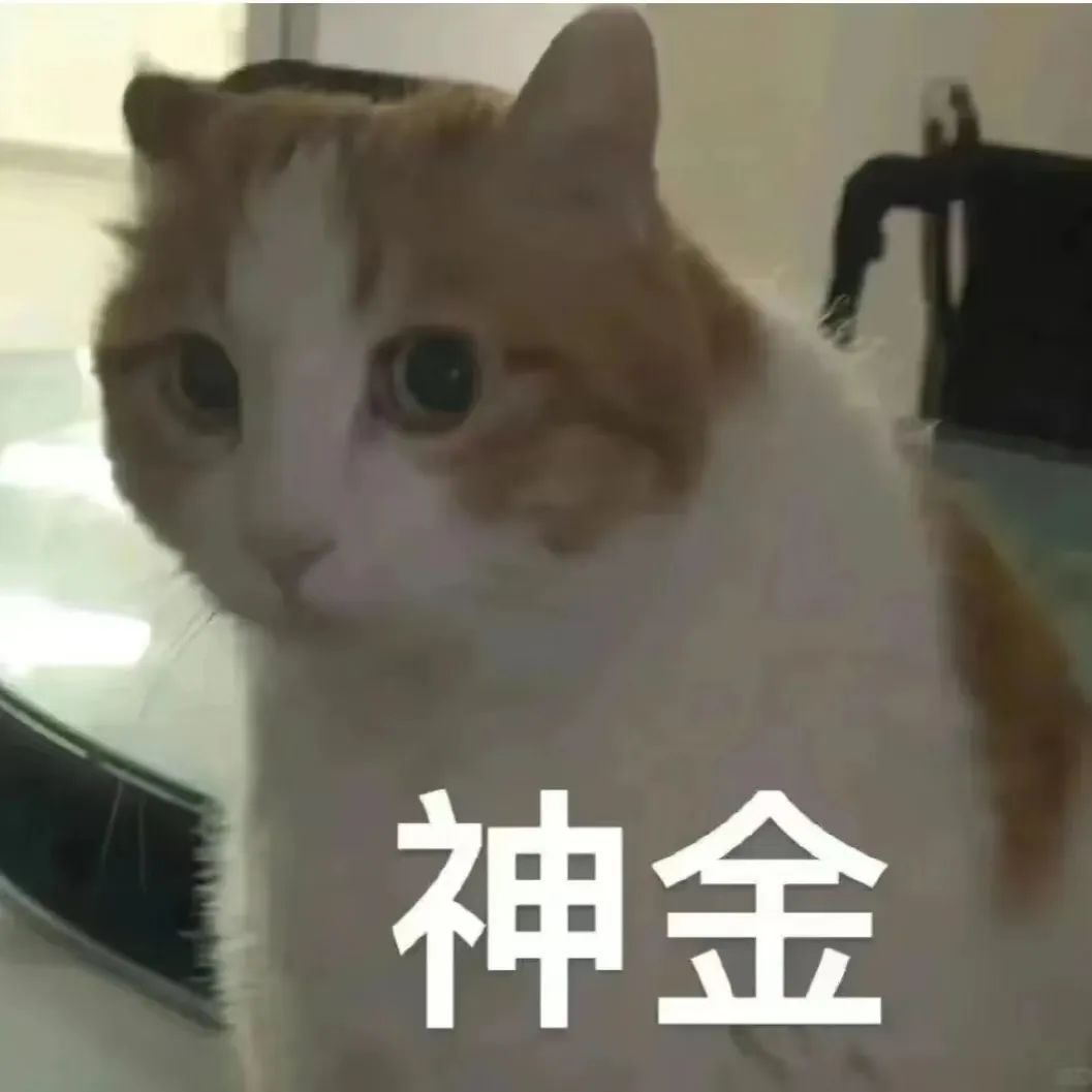 猫meme 你回来啦 可爱表情包 可爱橘猫表情呆萌,配文“神金”,有趣又吸睛的猫咪表情包表情包图片gif动图 - 求表情网,斗图从此不求人!