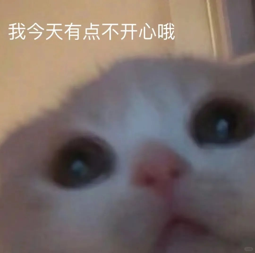 猫meme 你回来啦 可爱表情包 委屈巴巴的小猫,配文“我今天有点不开心哦”,尽显可怜模样表情包图片gif动图 - 求表情网,斗图从此不求人!