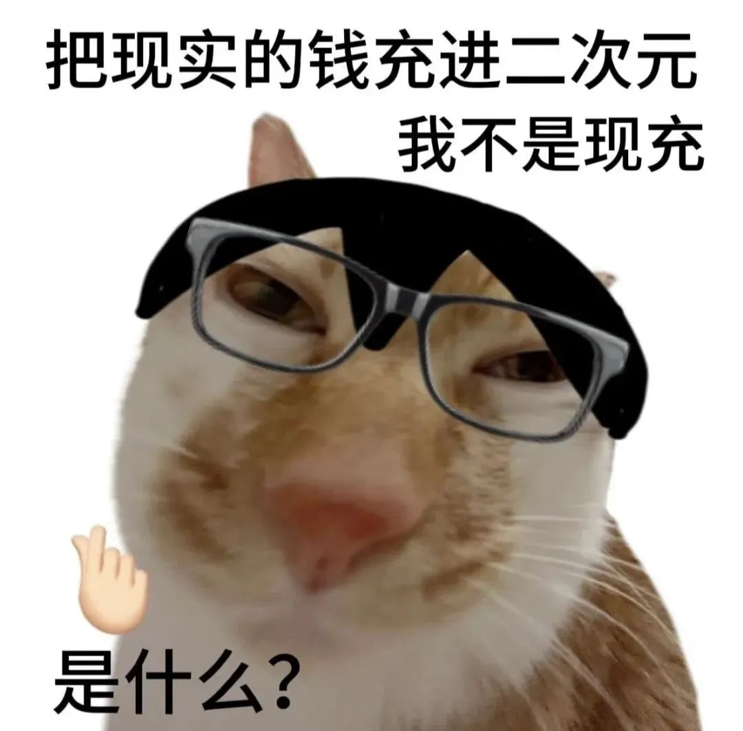 疑似资本做局 小猫 资本你赢了 表情包 戴眼镜的猫咪表情包,配文“把现实的钱充进二次元 我不是现充 是什么?”表情包图片gif动图 - 求表情 ...