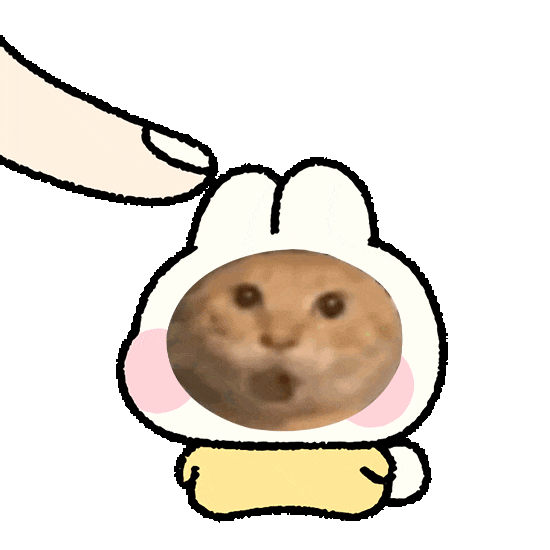 最新耄耋猫meme表情包 可爱萌兔被手指戳头 露出惊讶脸的有趣动态表情包表情包图片gif动图 - 求表情网,斗图从此不求人!