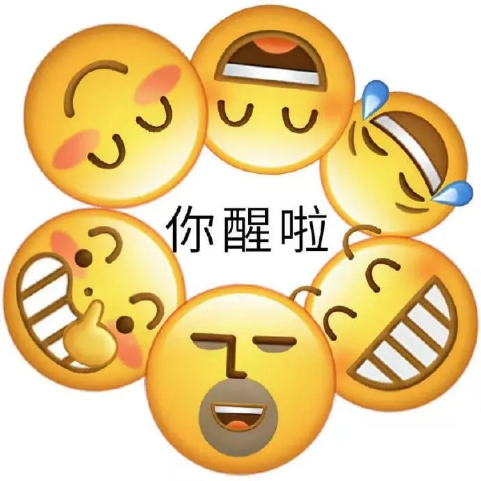 超好用的小黄脸 表情包 可爱的emoji们围成圈，中间配文“你醒啦”超有趣表情包图片gif动图 - 求表情网,斗图从此不求人!
