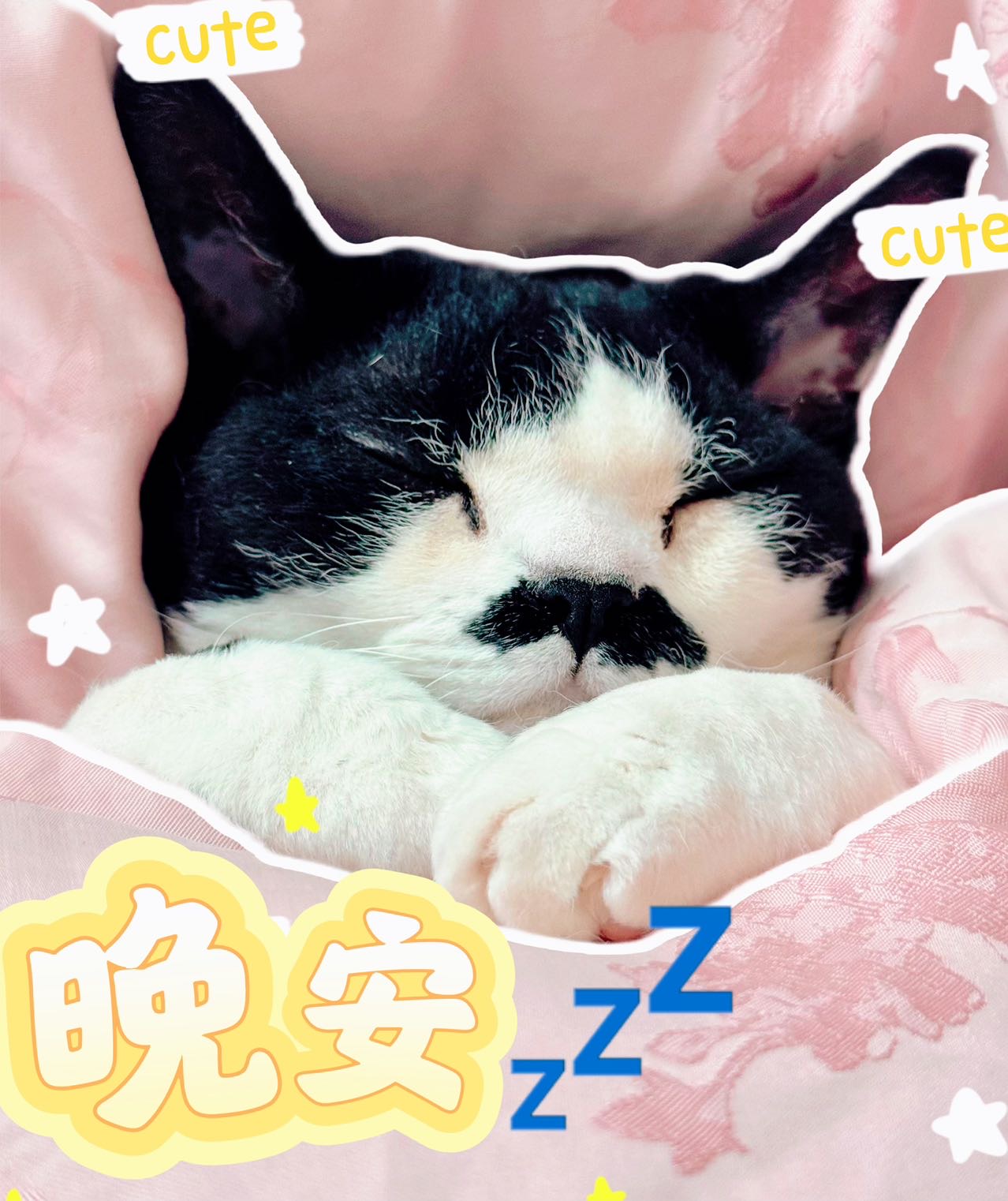 可爱猫咪盖着被子安然入睡,配文“晚安”超温馨的表情包表情包图片gif动图 - 求表情网,斗图从此不求人!