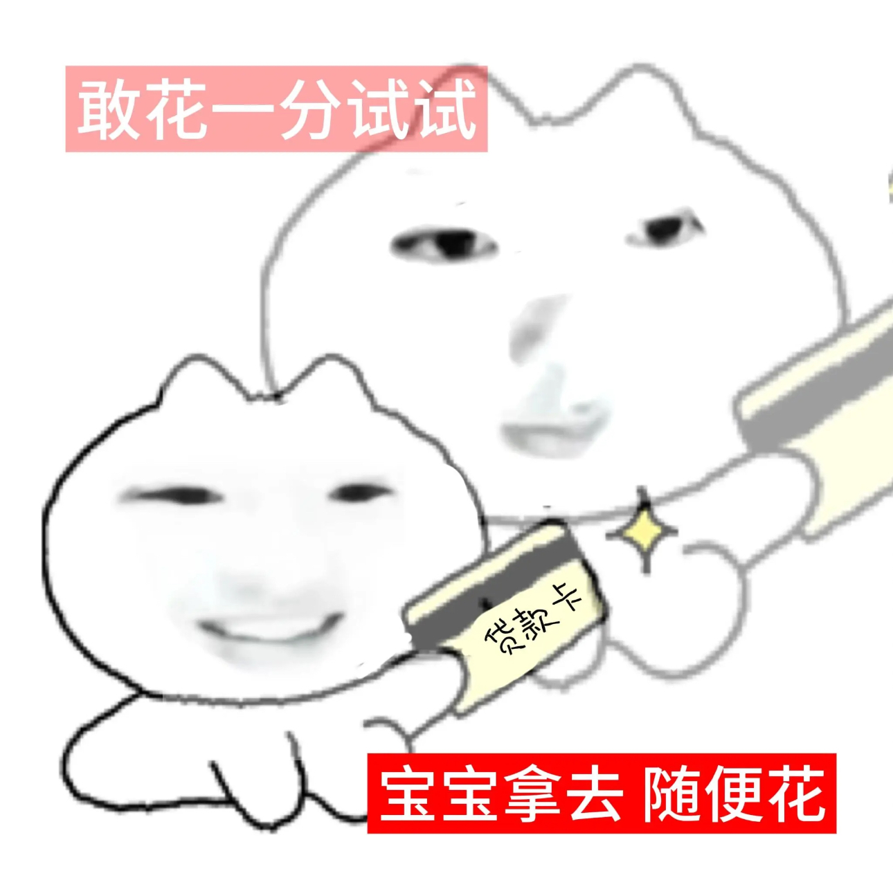 最新sakuya梗图 《霸气猫咪手持贷款卡,配文“宝宝拿去随便花”超豪横》表情包图片gif动图 - 求表情网,斗图从此不求人!