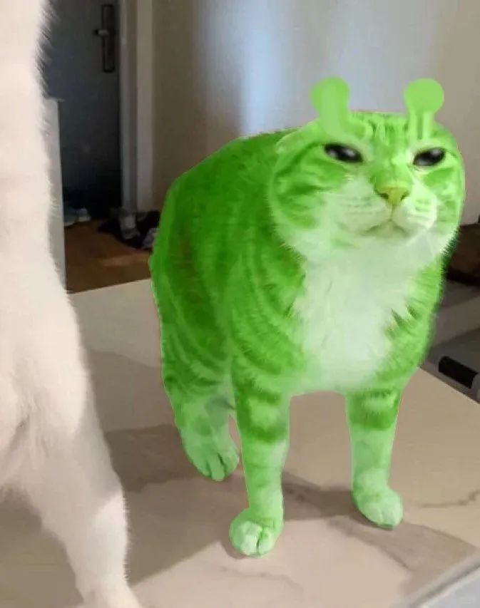 绿色抽象外星猫表情包合集 绿到发光的猫,呆萌模样超有趣,可爱爆表表情包图片gif动图 - 求表情网,斗图从此不求人!