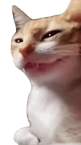 抽象の猫meme 新表情包 可爱猫咪眯眼露齿笑,表情滑稽惹人爱表情包图片gif动图 - 求表情网,斗图从此不求人!