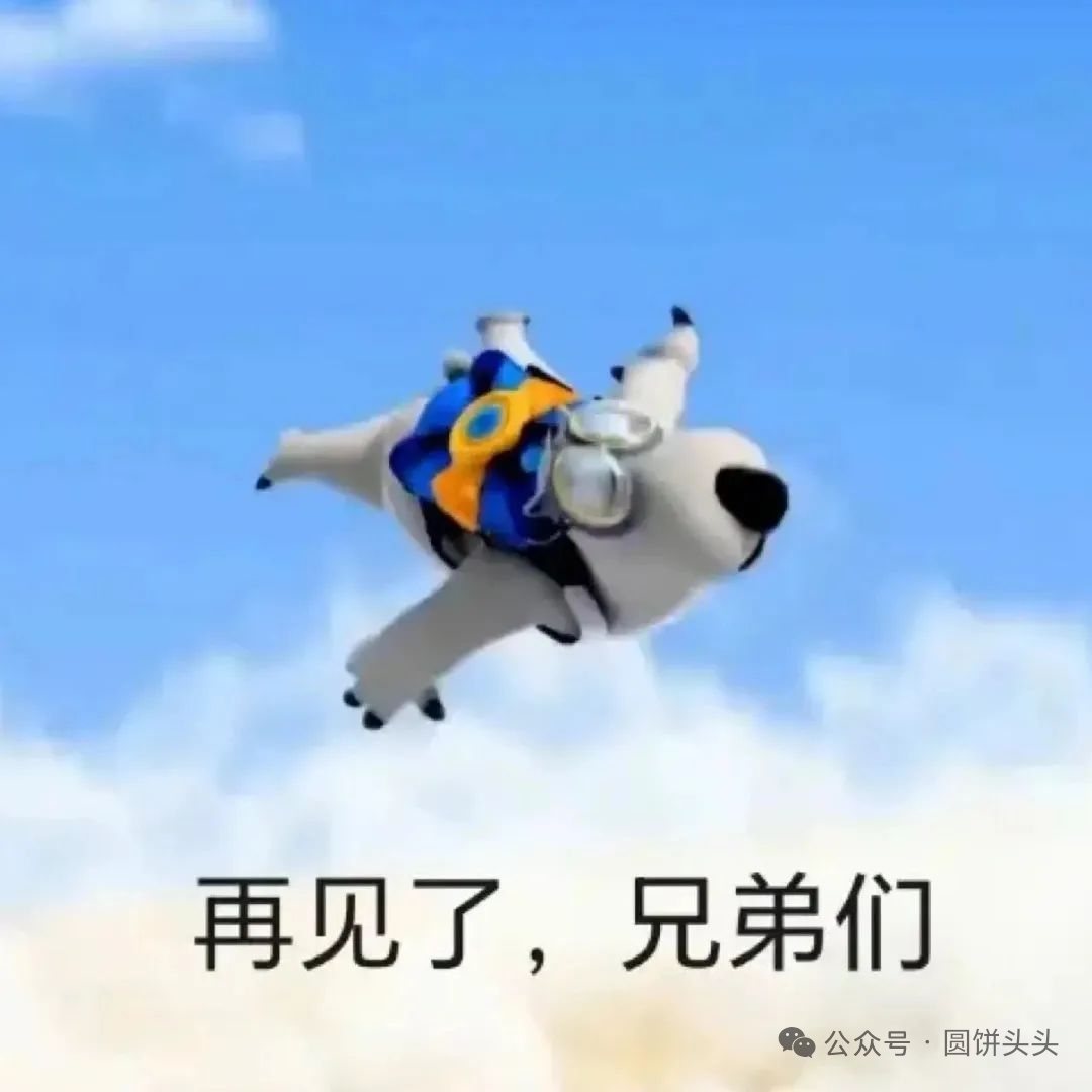 倒霉熊，我跳了，你们人呢？表情包 戴着护具的卡通动物在空中飞行，配文“再见了，兄弟们”表情包图片gif动图 - 求表情网,斗图从此不求人!