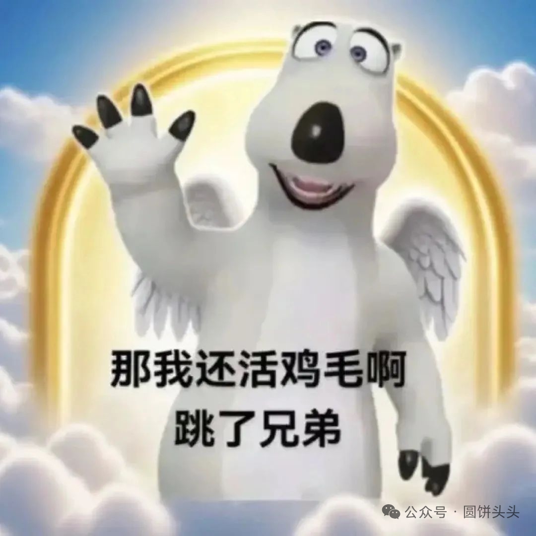 倒霉熊，我跳了，你们人呢？表情包 《带翅膀的卡通熊配文“那我还活鸡毛啊跳了兄弟”，尽显无奈》表情包图片gif动图 - 求表情网,斗图从此不求人!