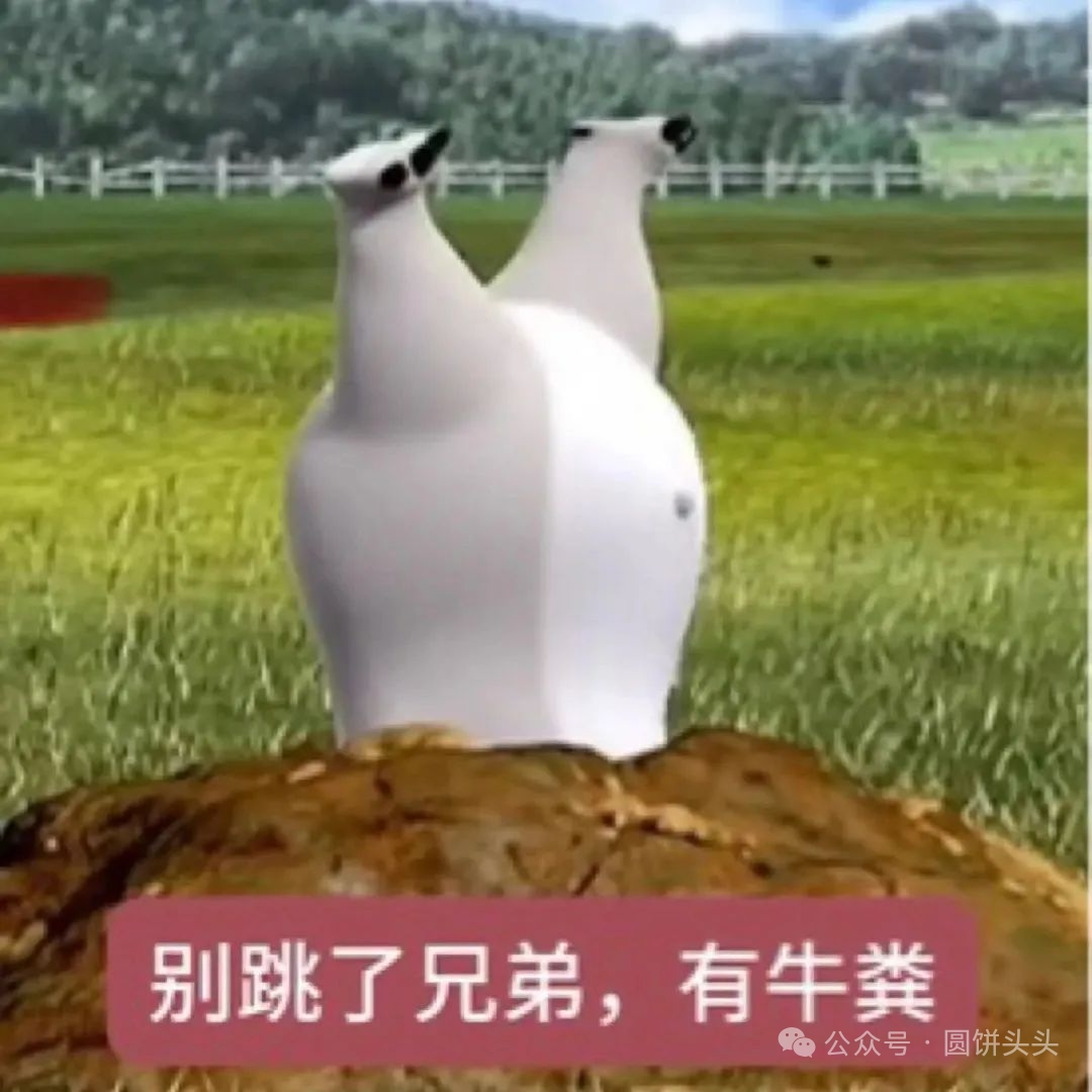 倒霉熊，我跳了，你们人呢？表情包 搞笑的双鸟造型配上文字“别跳了兄弟，有牛粪”，趣味十足表情包图片gif动图 - 求表情网,斗图从此不求人!