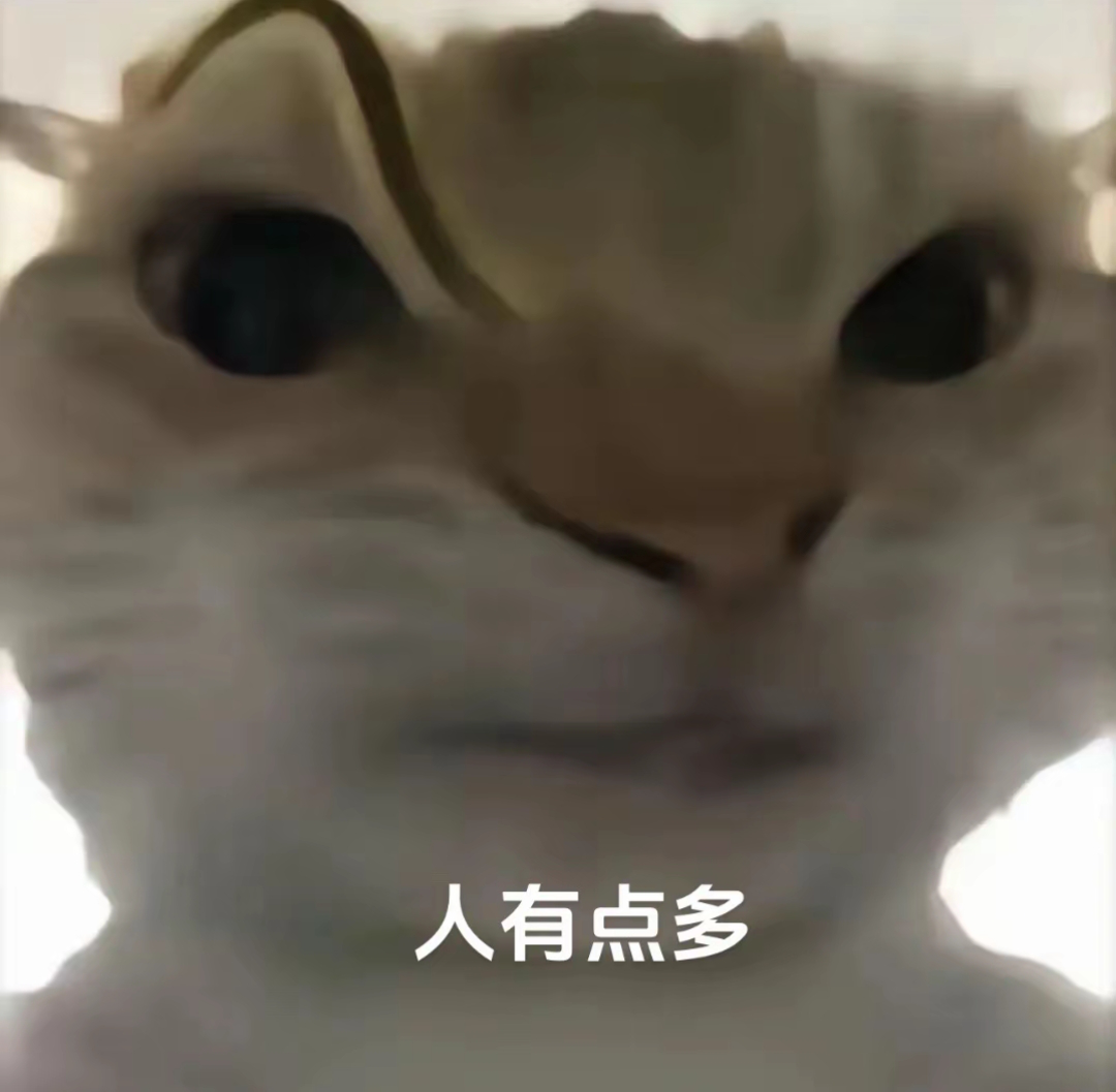 再也不缺三角洲猫meme表情包了 猫咪表情呆萌配文“人有点多”,可爱中带着一丝无奈的感觉表情包图片gif动图 - 求表情网,斗图从此不求人!