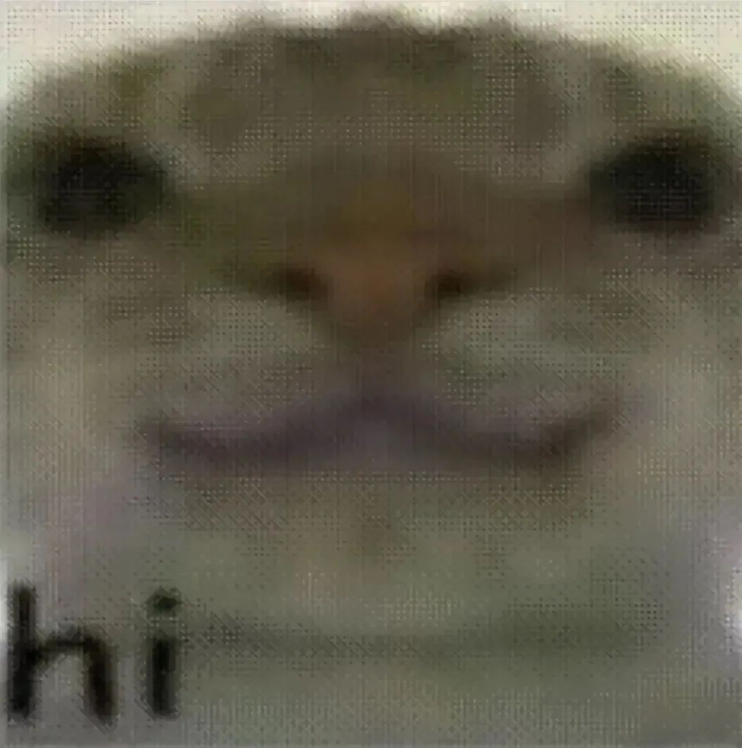 再也不缺三角洲猫meme表情包了 可爱动物脸带微笑配文“hi”,超萌打招呼表情包表情包图片gif动图 - 求表情网,斗图从此不求人!