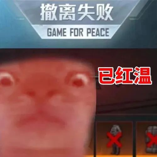 再也不缺三角洲猫meme表情包了 《撤离失败》游戏界面配上“已红温”,尽显无奈崩溃表情包图片gif动图 - 求表情网,斗图从此不求人!