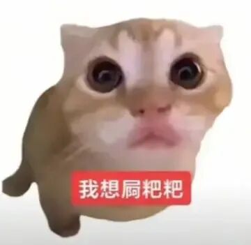 抖音超火的猫meme合集 大眼睛呆萌小猫，直白诉求“我想屙粑粑”表情包图片gif动图 - 求表情网,斗图从此不求人!