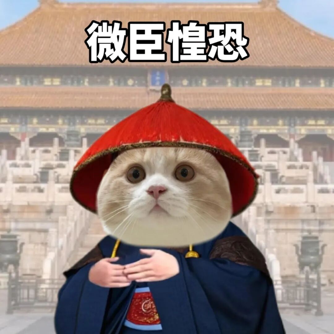 和领导沟通必备表情包I大臣版 微臣愚钝 古装猫咪戴红帽,“微臣惶恐”表慌张表情包图片gif动图 - 求表情网,斗图从此不求人!