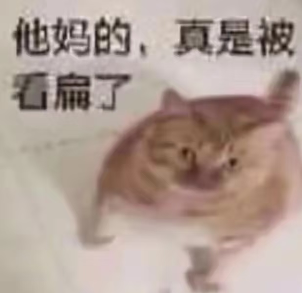恶心朋友的抽象表情包合集 愤怒橘猫配文“他妈的,真是被看扁了”,尽显不服气表情包图片gif动图 - 求表情网,斗图从此不求人!