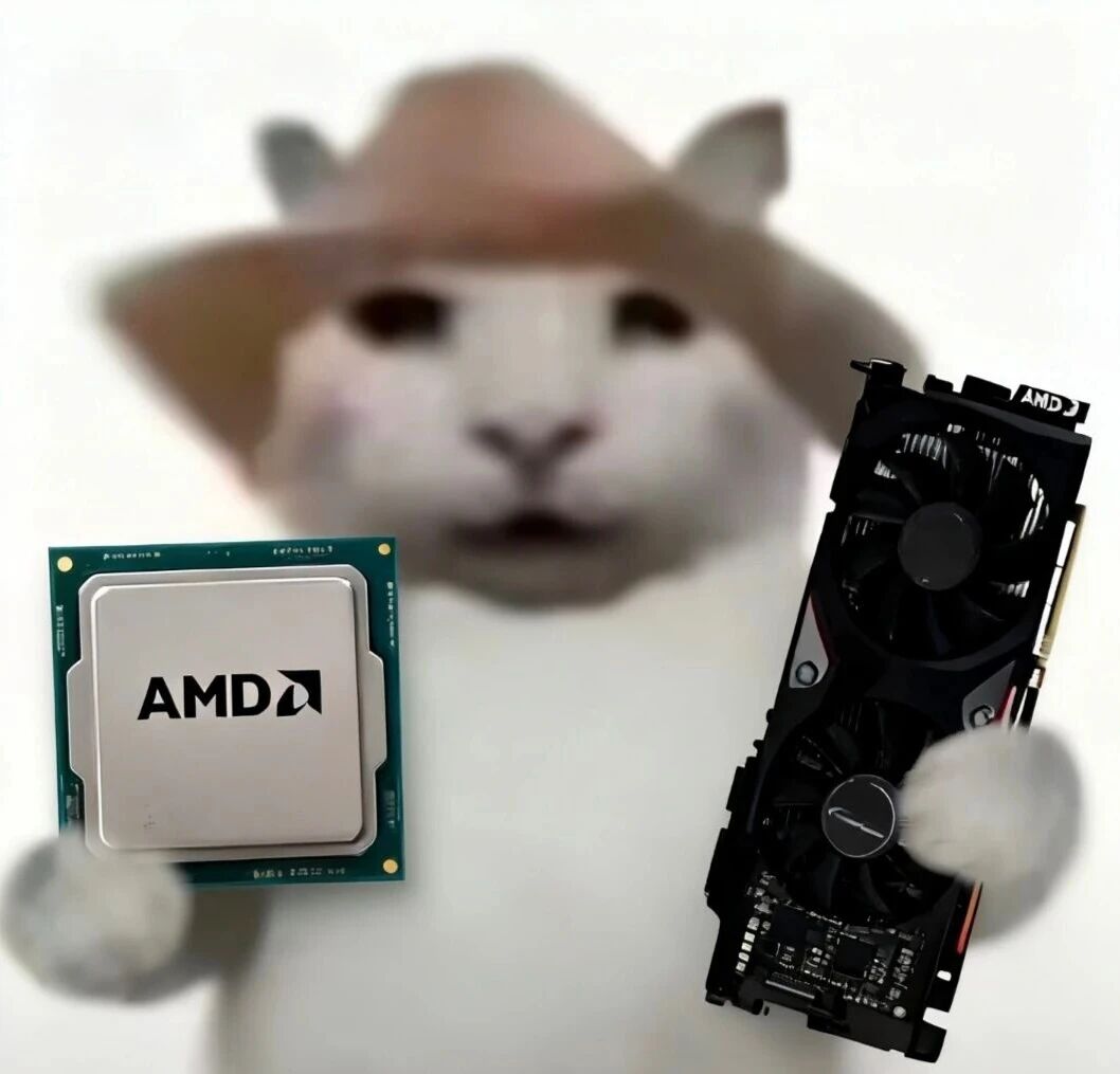拼好饭咪咪表情包|没建模没经济 戴牛仔帽的猫猫举着AMD CPU和显卡表情包图片gif动图 - 求表情网,斗图从此不求人!